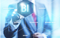 Business Analyst